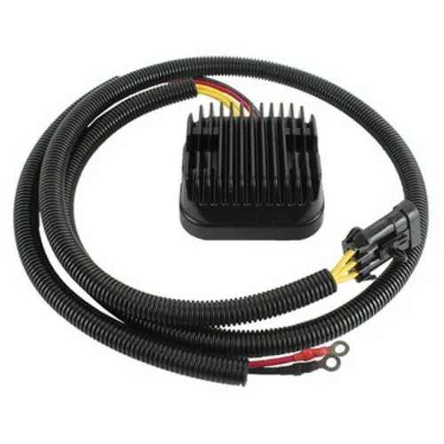 Wild Boar Voltage Regulator Rectifier