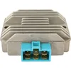Wild Boar Voltage Regulator Rectifier