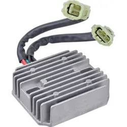 Wild Boar Voltage Regulator Rectifier