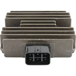 Wild Boar Voltage Regulator Rectifier