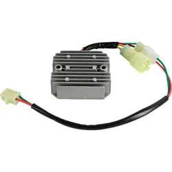 Wild Boar Voltage Regulator Rectifier
