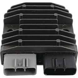 Wild Boar Voltage Regulator Rectifier