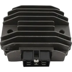 Wild Boar Voltage Regulator Rectifier