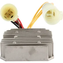 Wild Boar Voltage Regulator Rectifier