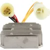 Wild Boar Voltage Regulator Rectifier