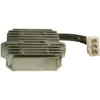 Wild Boar Voltage Regulator Rectifier