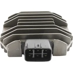 Wild Boar Voltage Regulator Rectifier