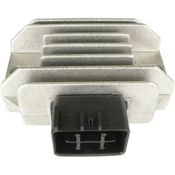 Wild Boar Voltage Regulator Rectifier