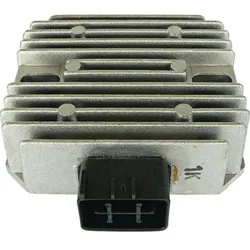 Wild Boar Voltage Regulator Rectifier