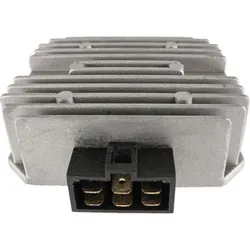 Wild Boar Voltage Regulator Rectifier