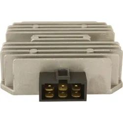 Wild Boar Voltage Regulator Rectifier