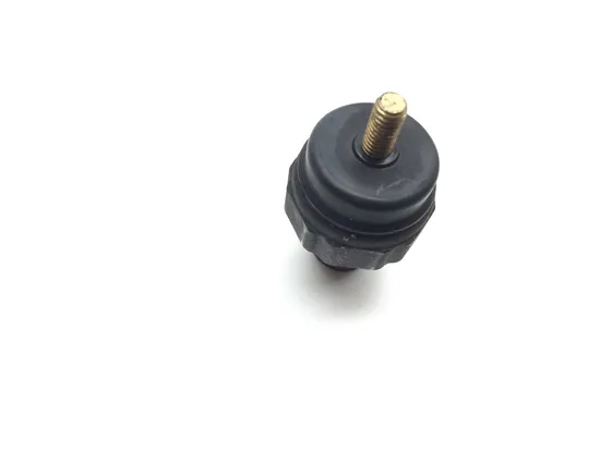 Oil Sending Unit 2002 Harley-Davidson Night Train FXSTB 2462