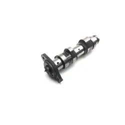 Engine Camshaft Cam Shaft 2004 Yamaha Grizzly 660 YFM660F 4x4 2461A