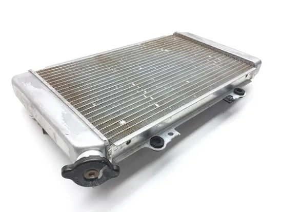 Engine Radiator Cooling 2004 Yamaha Grizzly 660 YFM660F 4x4 2461A