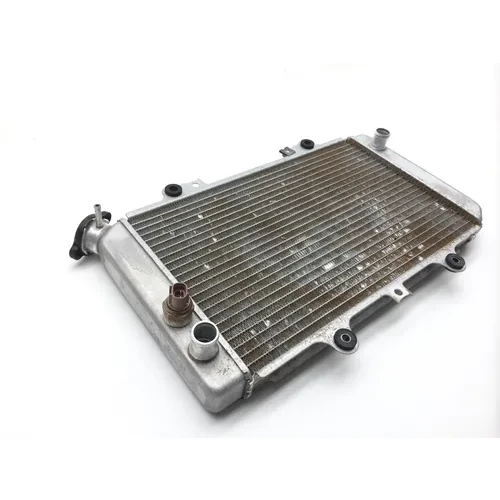 Engine Radiator Cooling 2004 Yamaha Grizzly 660 YFM660F 4x4 2461A 2