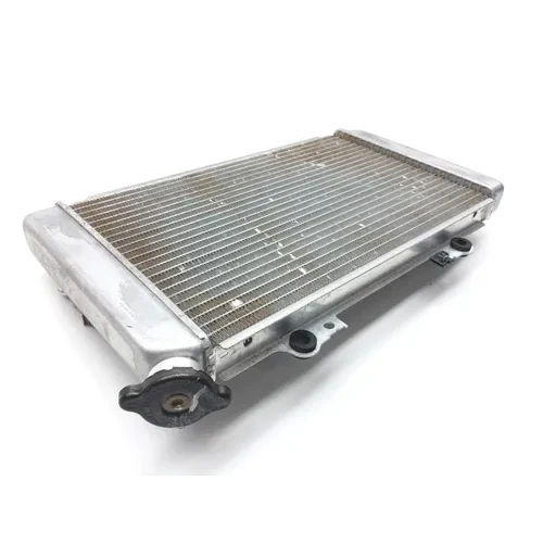 Engine Radiator Cooling 2004 Yamaha Grizzly 660 YFM660F 4x4 2461A 4