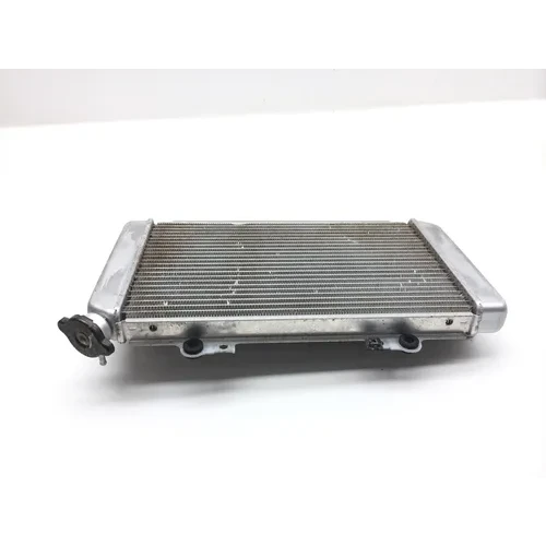 Engine Radiator Cooling 2004 Yamaha Grizzly 660 YFM660F 4x4 2461A 3