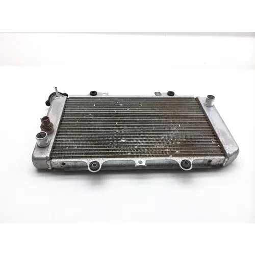 Engine Radiator Cooling 2004 Yamaha Grizzly 660 YFM660F 4x4 2461A
