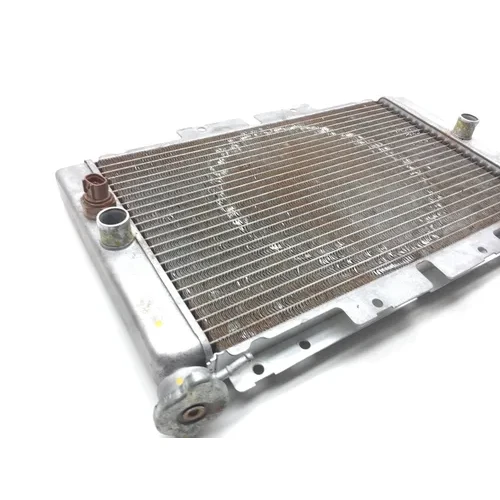 Engine Radiator Cooling 2007 Yamaha Rhino 660 YXR660FA 4x4 2470A x 4