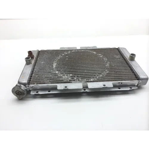 Engine Radiator Cooling 2007 Yamaha Rhino 660 YXR660FA 4x4 2470A x 3