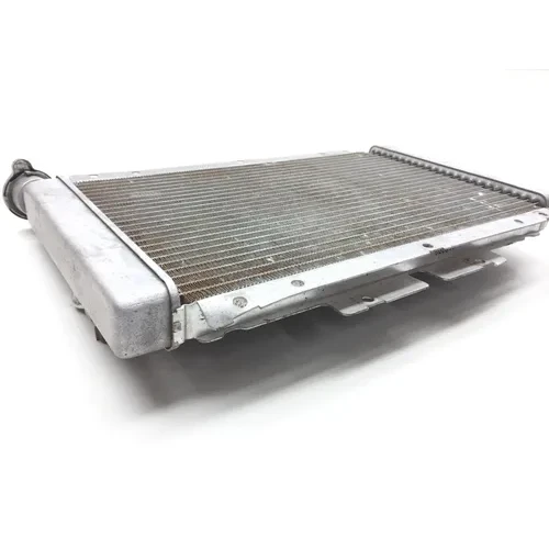 Engine Radiator Cooling 2007 Yamaha Rhino 660 YXR660FA 4x4 2470A x 2