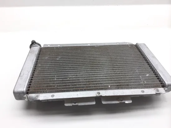Engine Radiator Cooling 2007 Yamaha Rhino 660 YXR660FA 4x4 2470A x