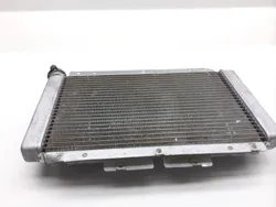 Engine Radiator Cooling 2007 Yamaha Rhino 660 YXR660FA 4x4 2470A x