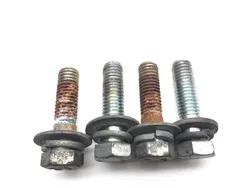 Rear Shock Bolts 2004 Harley-Davidson Road King Classic EFI FLHRCI 2474