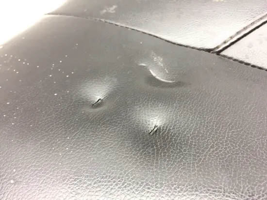 Right Side Passenger Seat Back Cushion 2013 Polaris RZR XP 900 EFI 2483 x