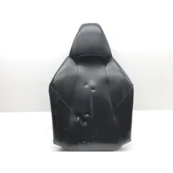 Right Side Passenger Seat Back Cushion 2013 Polaris RZR XP 900 EFI 2483 x