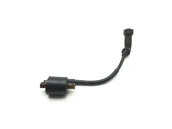 Ignition Coil 2008 Yamaha Raptor 250 YFM250R 2477A