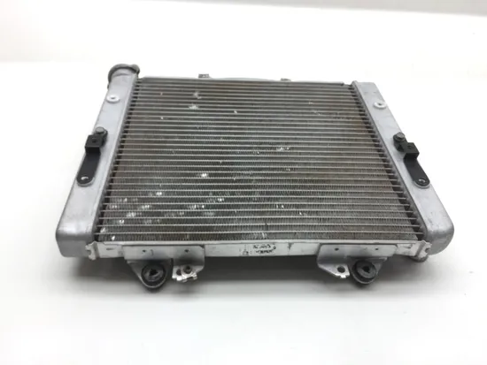 Engine Radiator Cooling 2011 Kawasaki Teryx 750 KRF750N 4x4 FI 2491 x