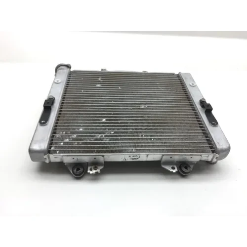 Engine Radiator Cooling 2011 Kawasaki Teryx 750 KRF750N 4x4 FI 2491 x 8