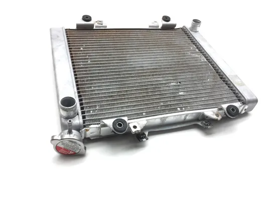 Engine Radiator Cooling 2011 Kawasaki Teryx 750 KRF750N 4x4 FI 2491 x