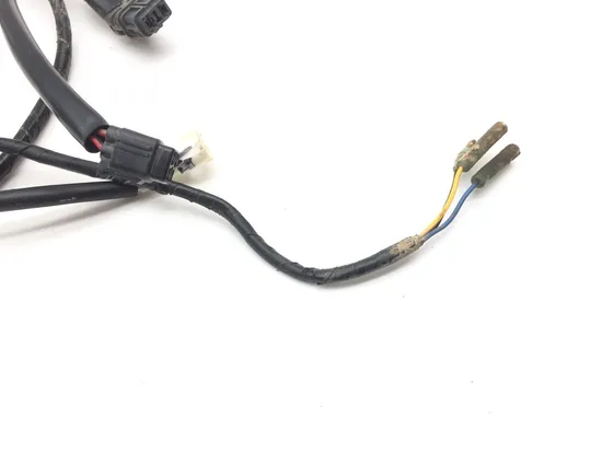 Main Engine Wiring Harness 2017 Yamaha Wolverine YXE 700 4x4 FI EPS 2492A
