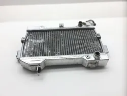 Aftermarket Engine Radiator Cooling 2006 Suzuki Quadracer 450 LTR450 2x4 2494 x