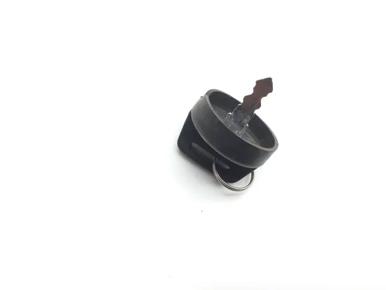 Ignition Key Switch 2011 Polaris RZR XP 900 2529