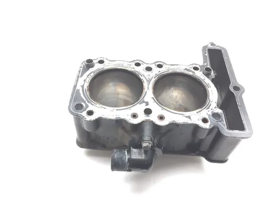 Engine Cylinder Jug W Piston 1989 Kawasaki Ninja 250R EX250F 2515