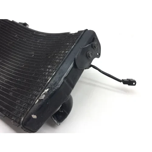 Radiator Cooling Front Fluid with Fan 2005 Yamaha YZF R1 T/C Raven 2532A 7