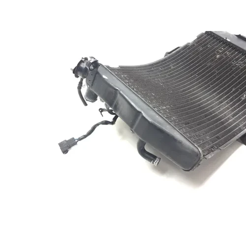 Radiator Cooling Front Fluid with Fan 2005 Yamaha YZF R1 T/C Raven 2532A 5
