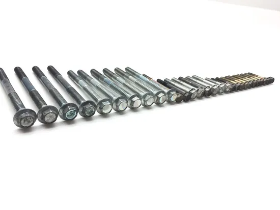 2005 Honda CBR 1000RR CBR1000RR Upper Lower Center Cases Case Bolts 2533A