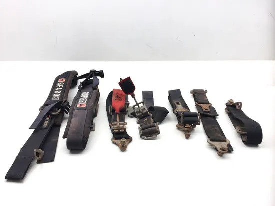 Beard Seat Belt Harness 2012 Polaris RZR XP 900 EFI 2539 x