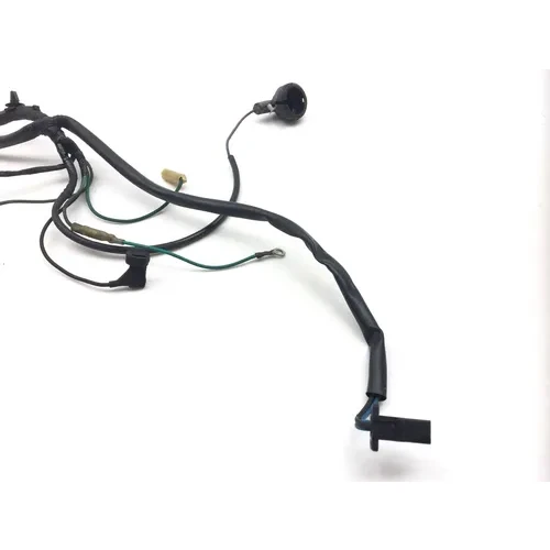 1998 Honda Goldwing 1500 GL1500 Engine Sub Harness 2536A 5