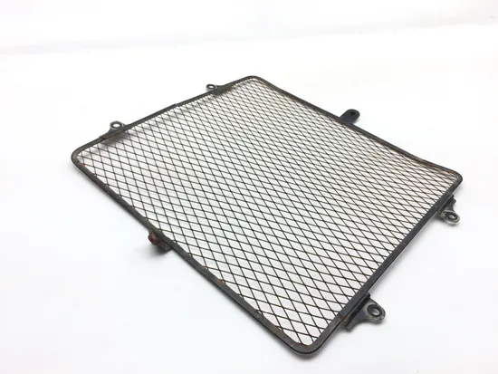 Engine Radiator Grill Guard 2008 Kawasaki Teryx 750 KRF750B 4x4 2545