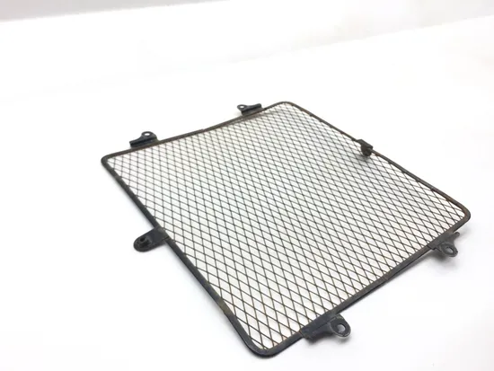 Engine Radiator Grill Guard 2008 Kawasaki Teryx 750 KRF750B 4x4 2545