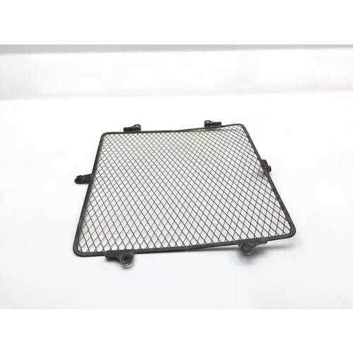 Engine Radiator Grill Guard 2008 Kawasaki Teryx 750 KRF750B 4x4 2545 3