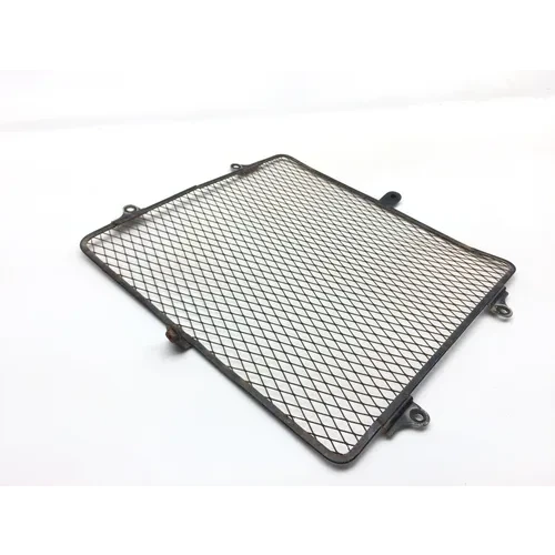 Engine Radiator Grill Guard 2008 Kawasaki Teryx 750 KRF750B 4x4 2545 6