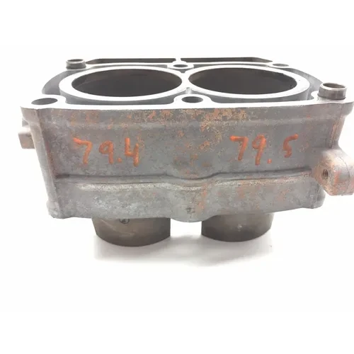 Engine Cylinder Jug W Piston 2009 Polaris RZR 800 EFI 2548 7