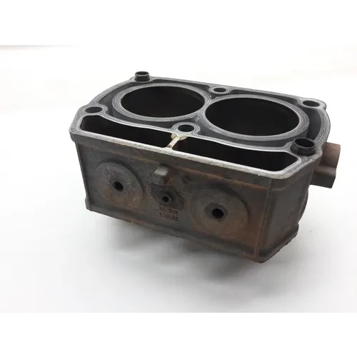 Engine Cylinder Jug W Piston 2009 Polaris RZR 800 EFI 2548 9