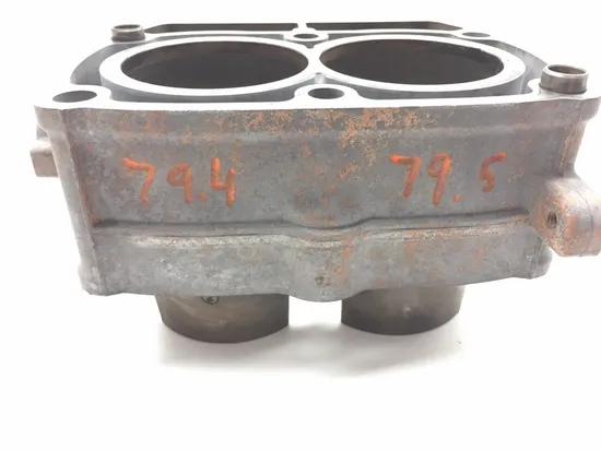 Engine Cylinder Jug W Piston 2009 Polaris RZR 800 EFI 2548